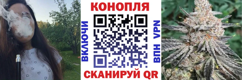гидра ONION  продажа наркотиков  Котельниково  Бошки марихуана семена 